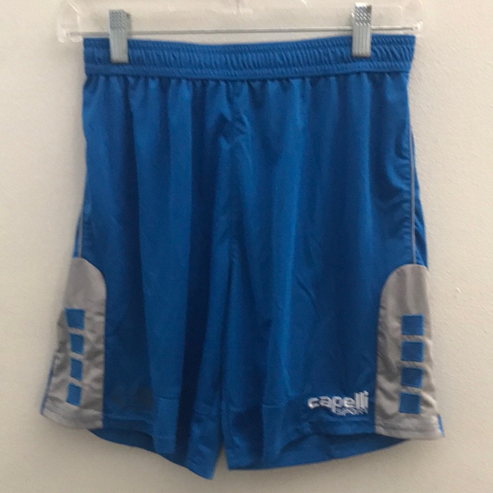 Capelli of New York Blue Men's Shorts